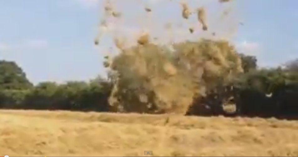 Amazing Hay vortex whips into field in Hampshire